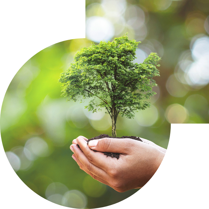 关怀人类、文化、环境与社会